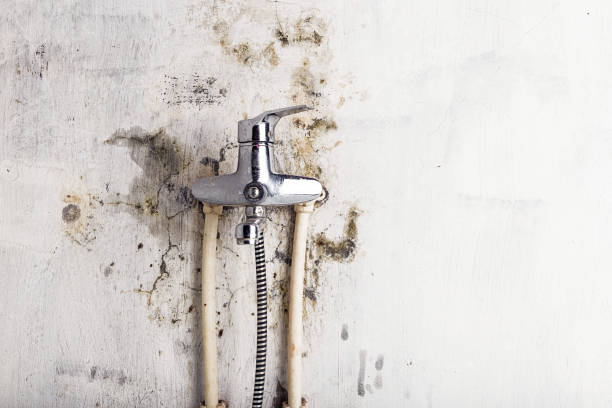 Mold Testing and Removal in Boonton, NJ