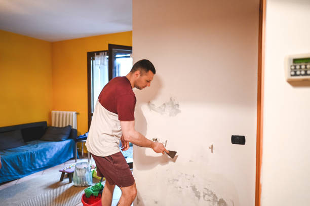 Best Local Mold Removal Service  in Boonton, NJ